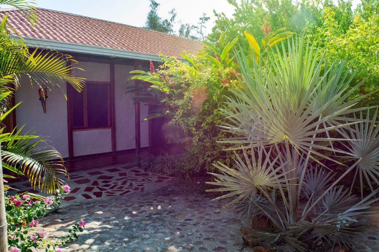 Hostal El Ruby Villavieja Exterior photo